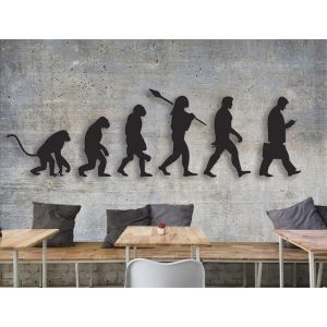 Voyage de l'évolution humaine - Anthropologie