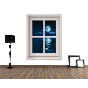 Clair de Lune Depuis ma Fenêtre