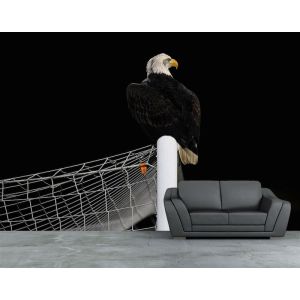Atterrissage de l'Aigle