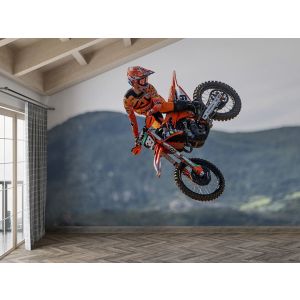 Motocross Extreme