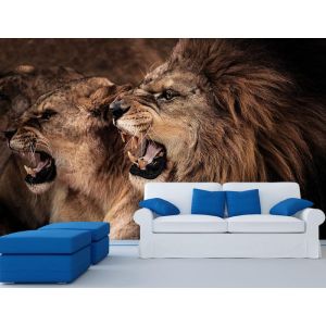 Mon Lion