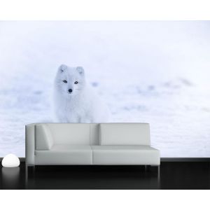 Loup Solitaire