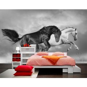 Champ de Chevaux à Gauche