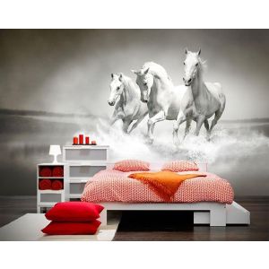 Chevaux dans l’Océan