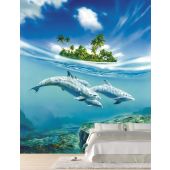 Dauphins en Liberté