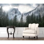 Forêt et Paysage Enneigé