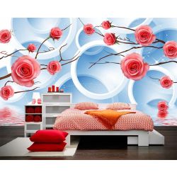 Roses et Cercles