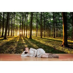 Forêt Radieuse