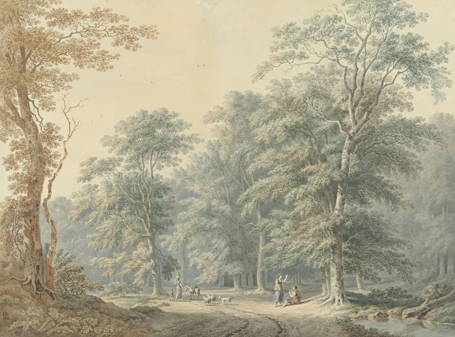 Papier Peint Panoramique Forêt Gravure Vintage
