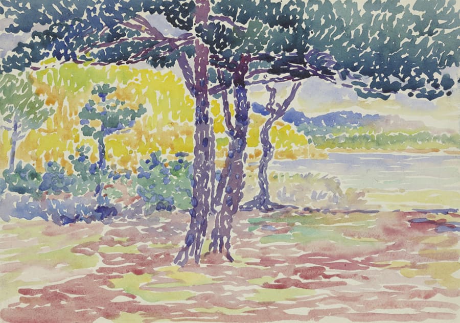 Papier Peint Paysage de Pins aux Couleurs Artistiques