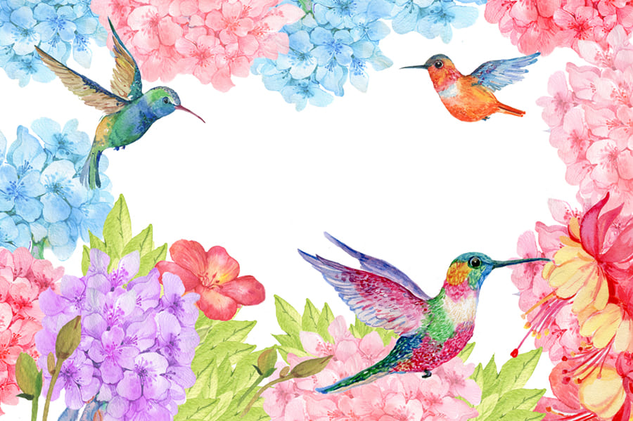 Papier Peint Colibri Floral