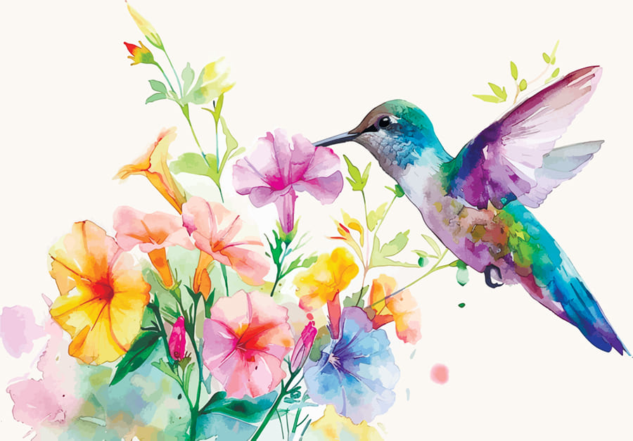 Papier Peint Colibri Coloré