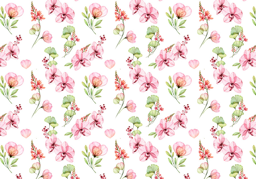 Papier Peint Orchidée