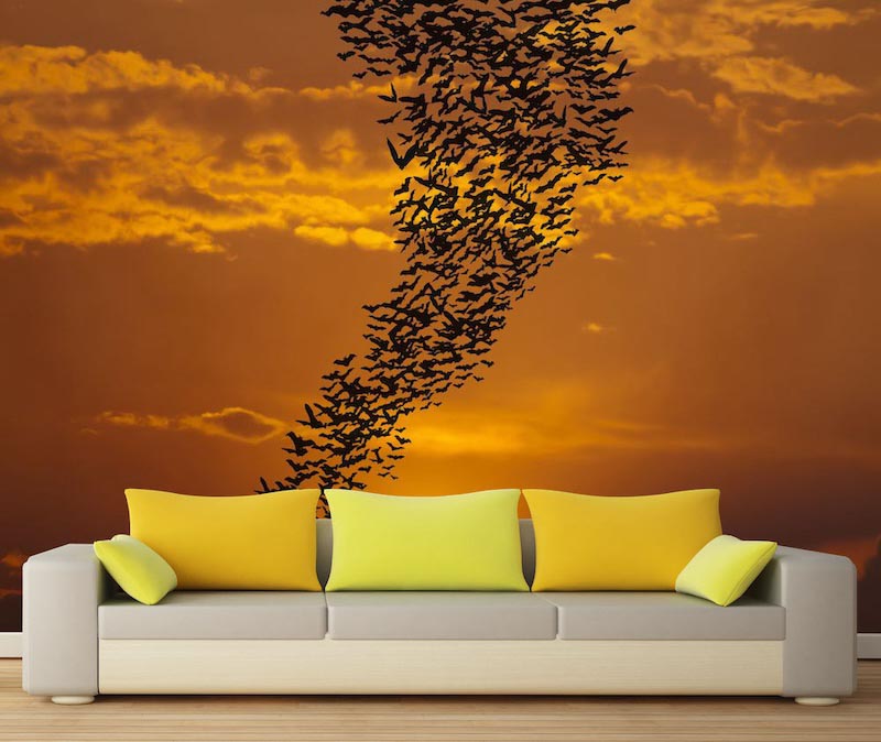 Routes De La Migration - Décoration Papier Peint 3D Appliquée