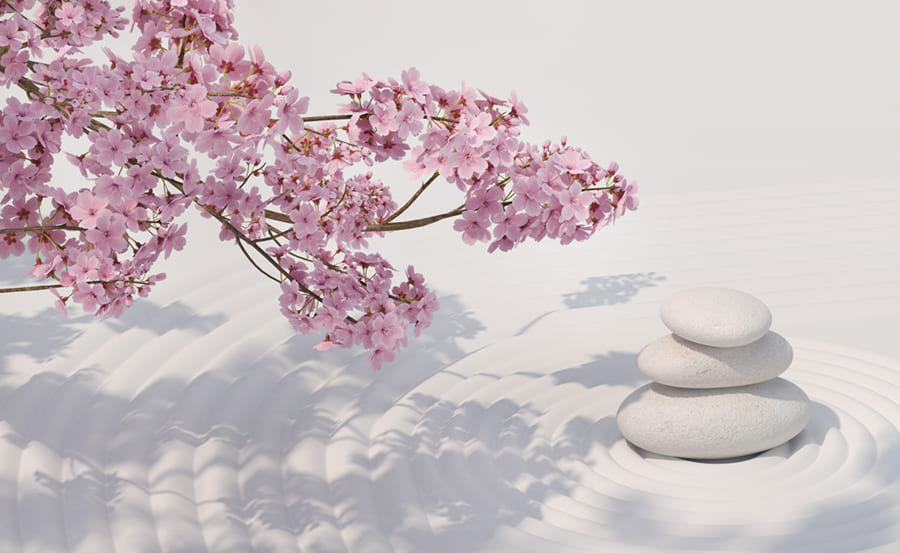 Papier Peint Zen Fleur de Cerisier